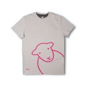 Hello T-Shirt - Light Grey / Pink