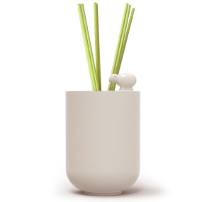 Reed Diffuser with Fragrance & Reeds