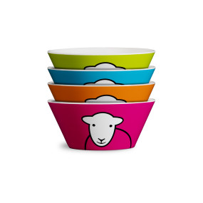 Hello Picnic Bowl Set