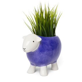 Planter - Purple