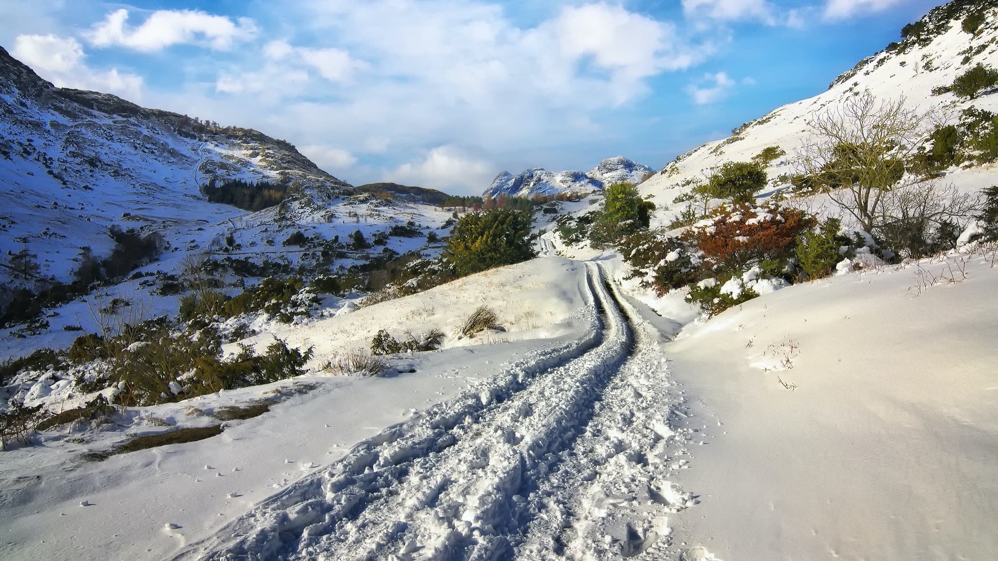 Sheep farming in winter in the Lake District can sometimes mean Herdwick sheep getting trapped in snow drifts... and still being able to survive