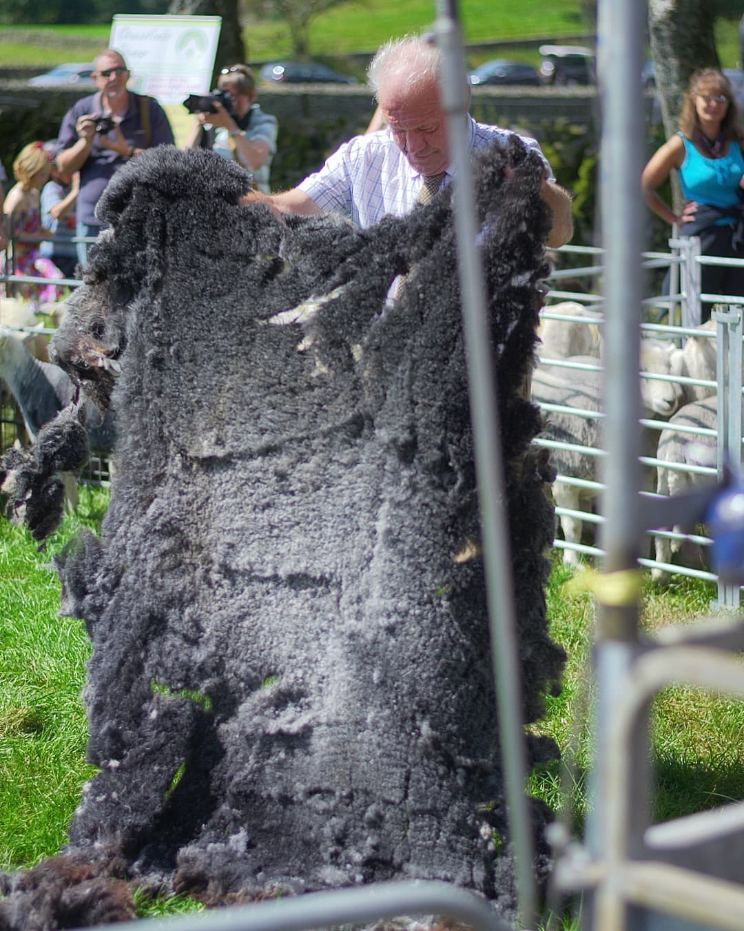 Full Herdwick Fleece