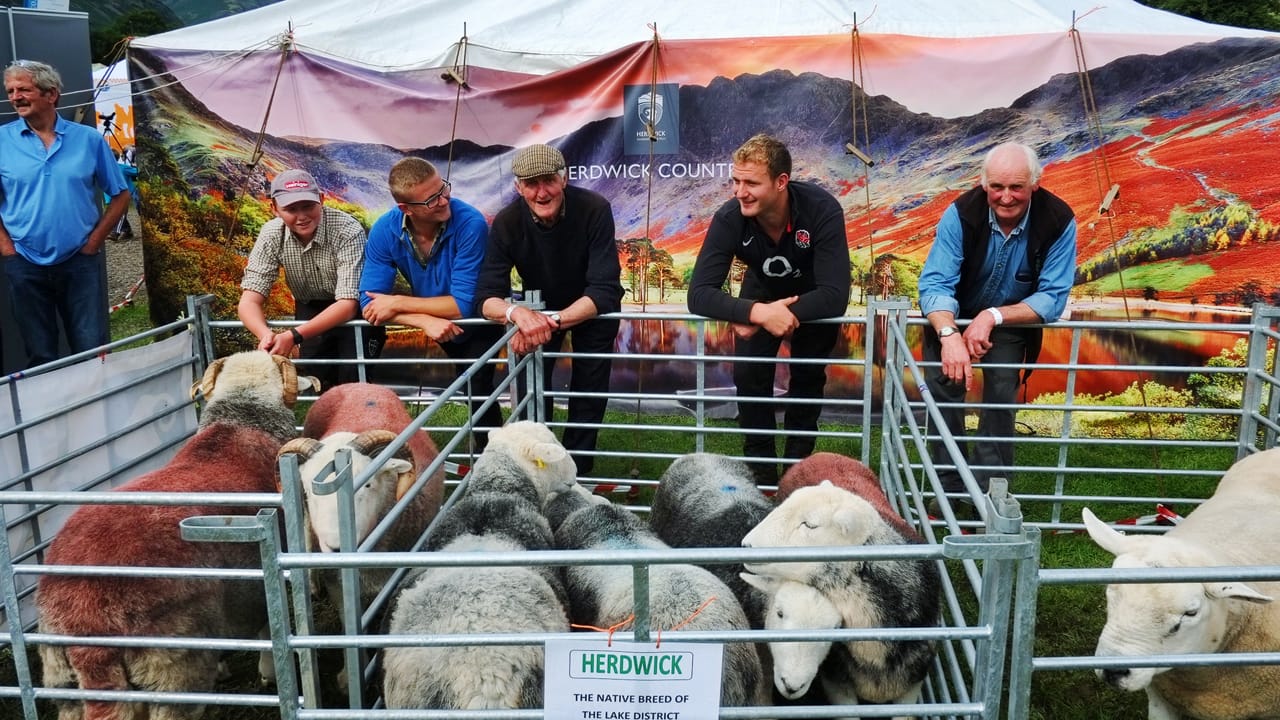 Cumbrian Farmers showing Herdwick Sheep in the Lake District