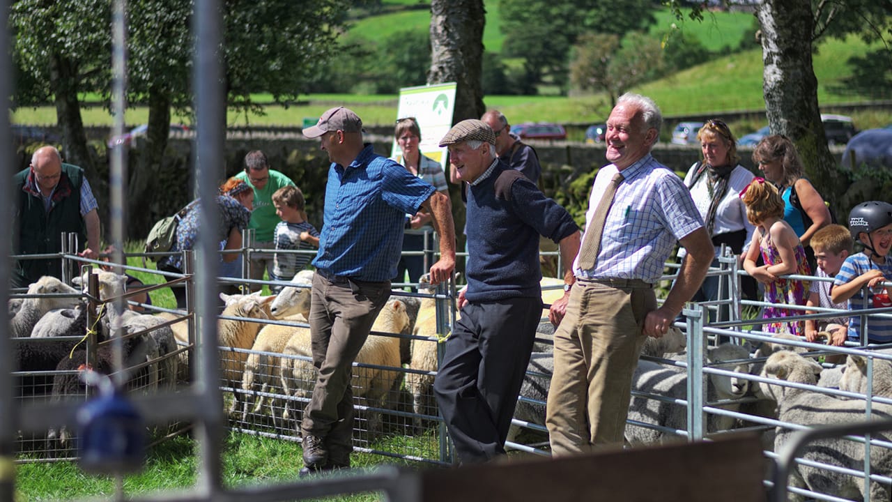 Cumbrian Farmers showing Herdwick Sheep in the Lake District