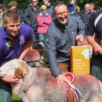 Showing Herdwick Sheep