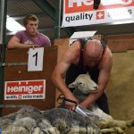Lakeland Shears