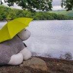 Big Little Herdy At Ullswater