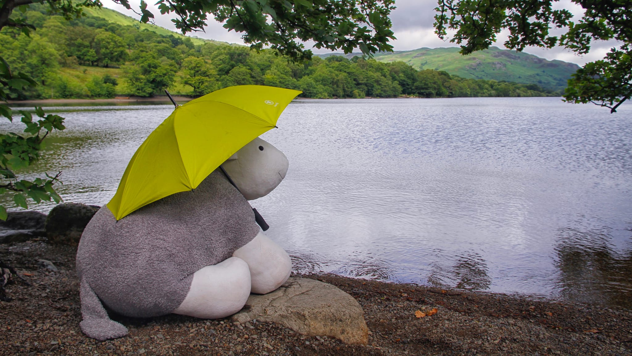 Big Little Herdy At Ullswater