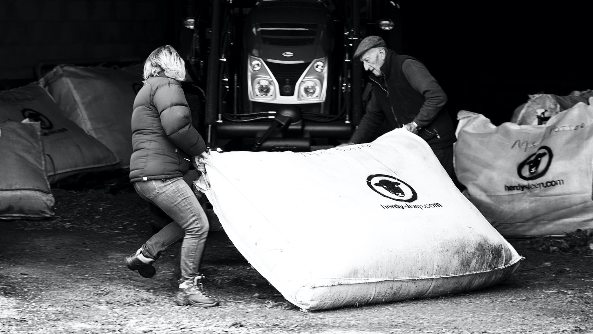 Two Lake District Herdwick farmers carry a heavy woolsack filled with Herdwick wool, ready for collection and use in Herdysleep mattresses. Photo ©Spencer Hannah.