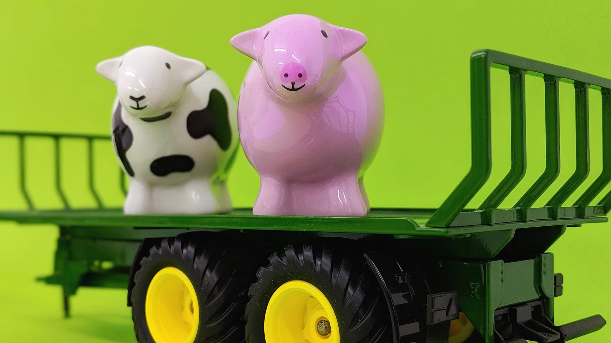 Year Of The Pig