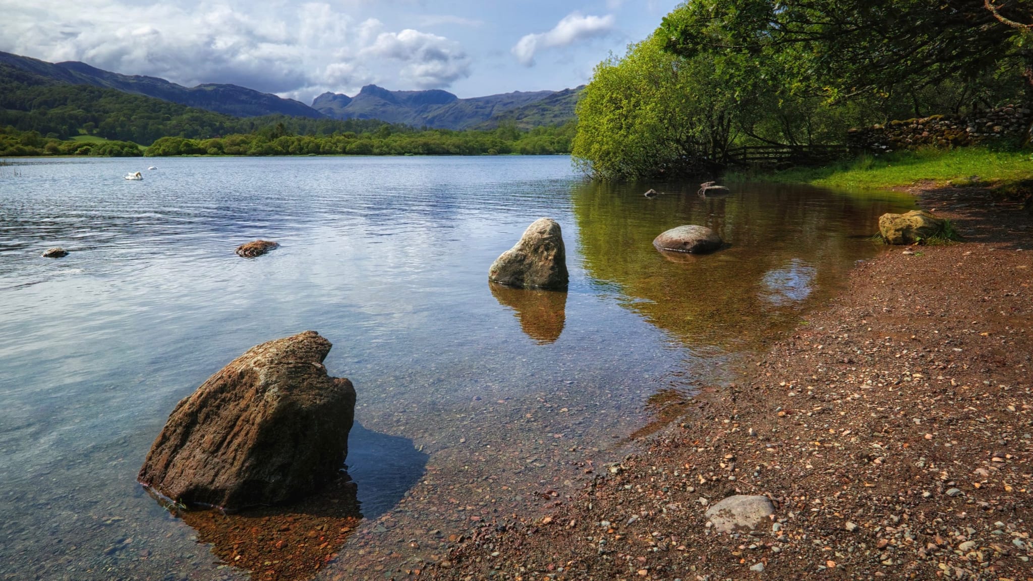 A photograph from the eastern shore of Elter Water looking towards the Langdale Pikes and the surrounding fells. Two nearby rocks poke out of the lake. Shot in the summer.