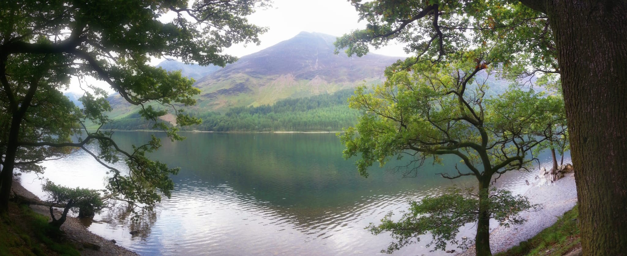 A view towards the High Stile range of fells from the northern shore of Buttermere, framed with trees