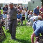 Shepherd's Meets & Country Shows