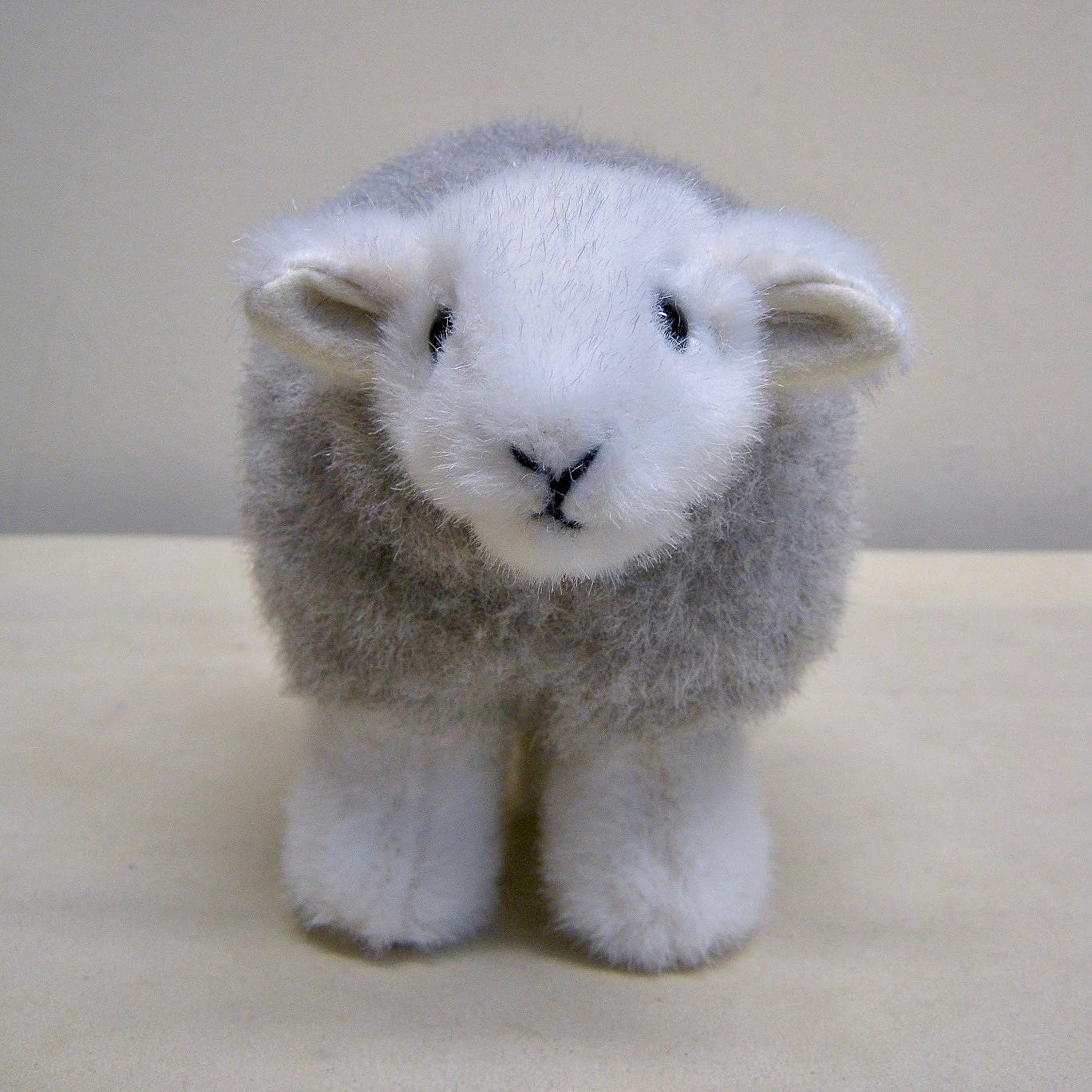 The 1st prototype of My Herdy!