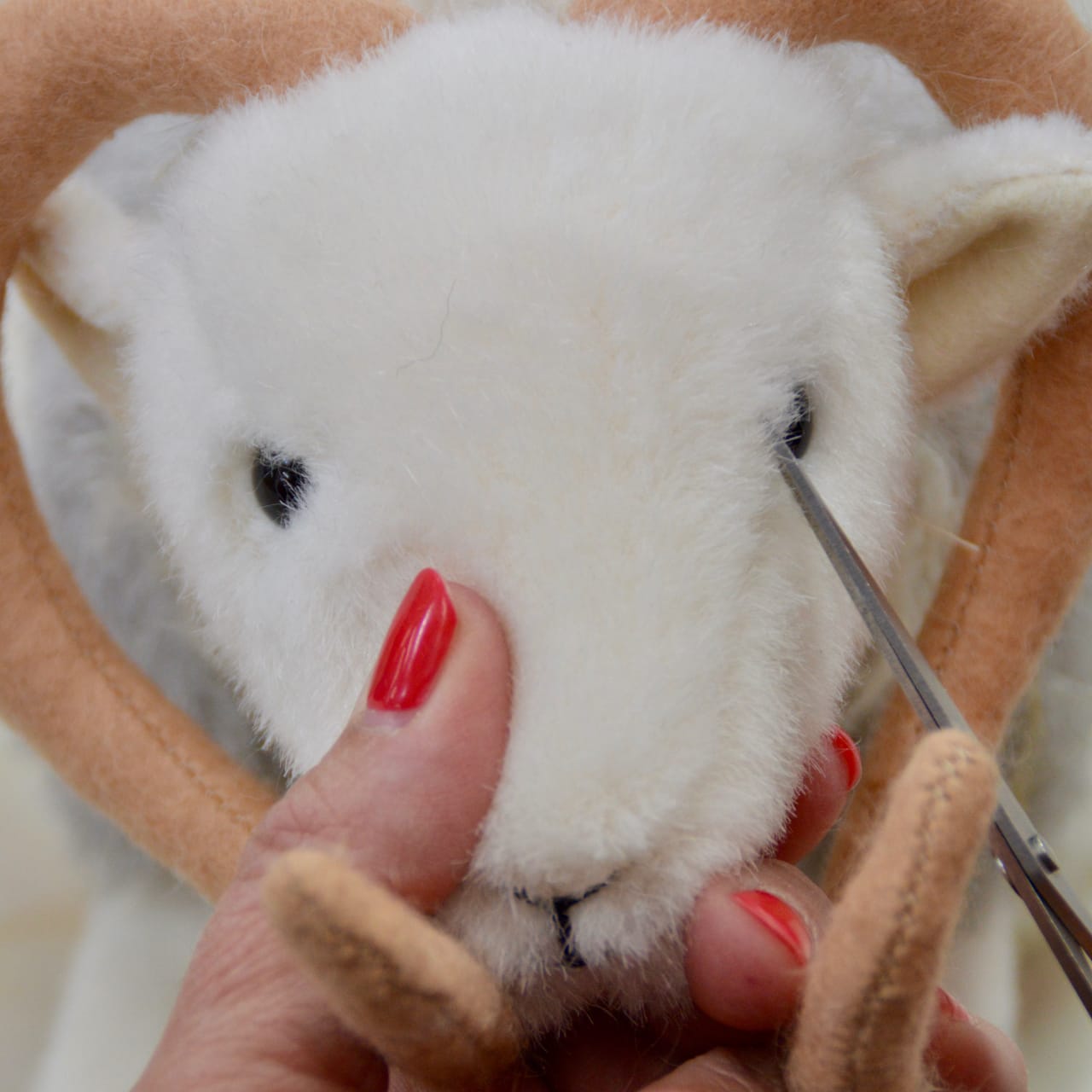 Final touches to that all-important face of My Herdy Tup