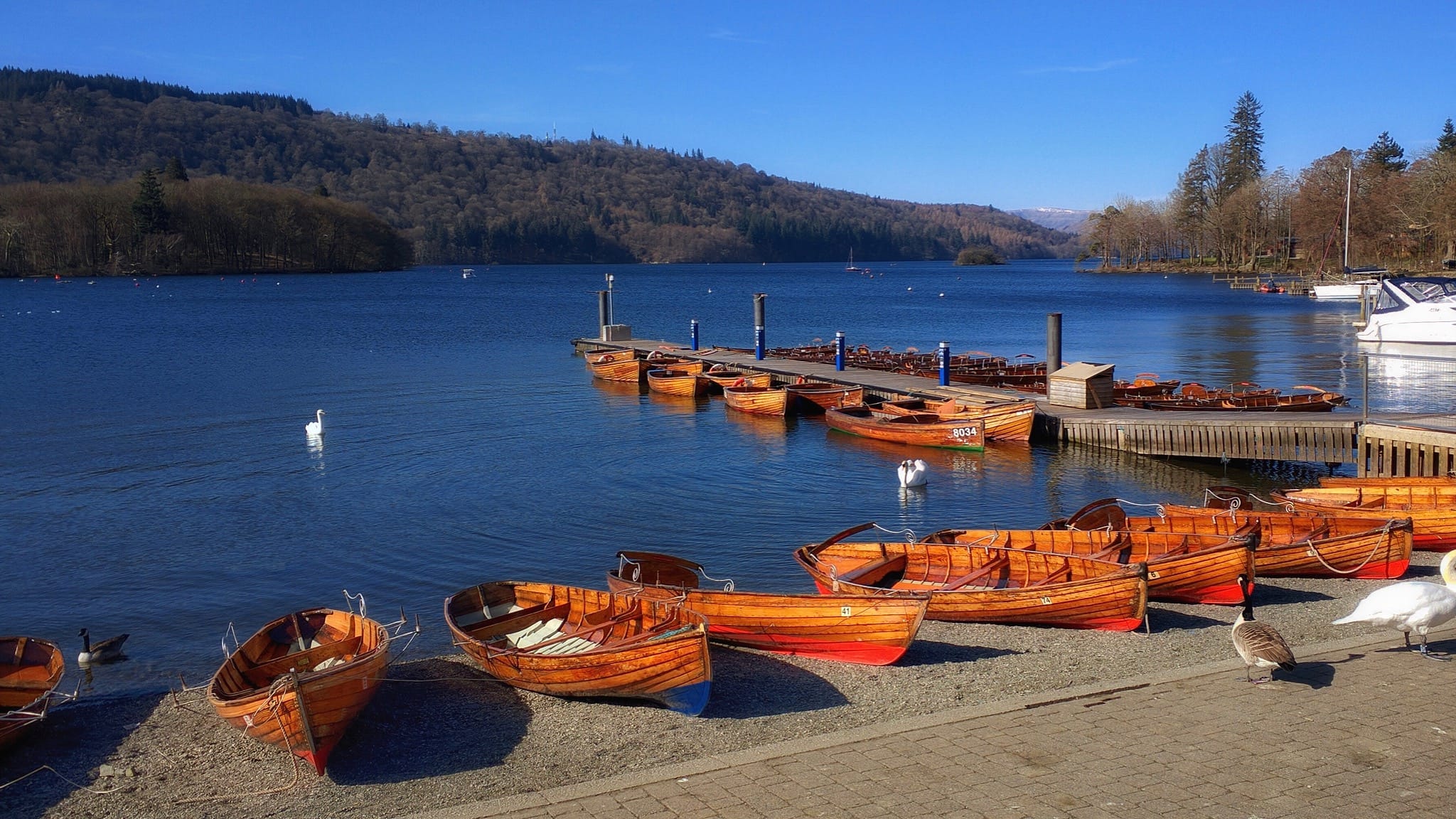 A view of lake Windermere from Bowness Pier, with lots of small wooden boats moored up, on a clear blue sky day.