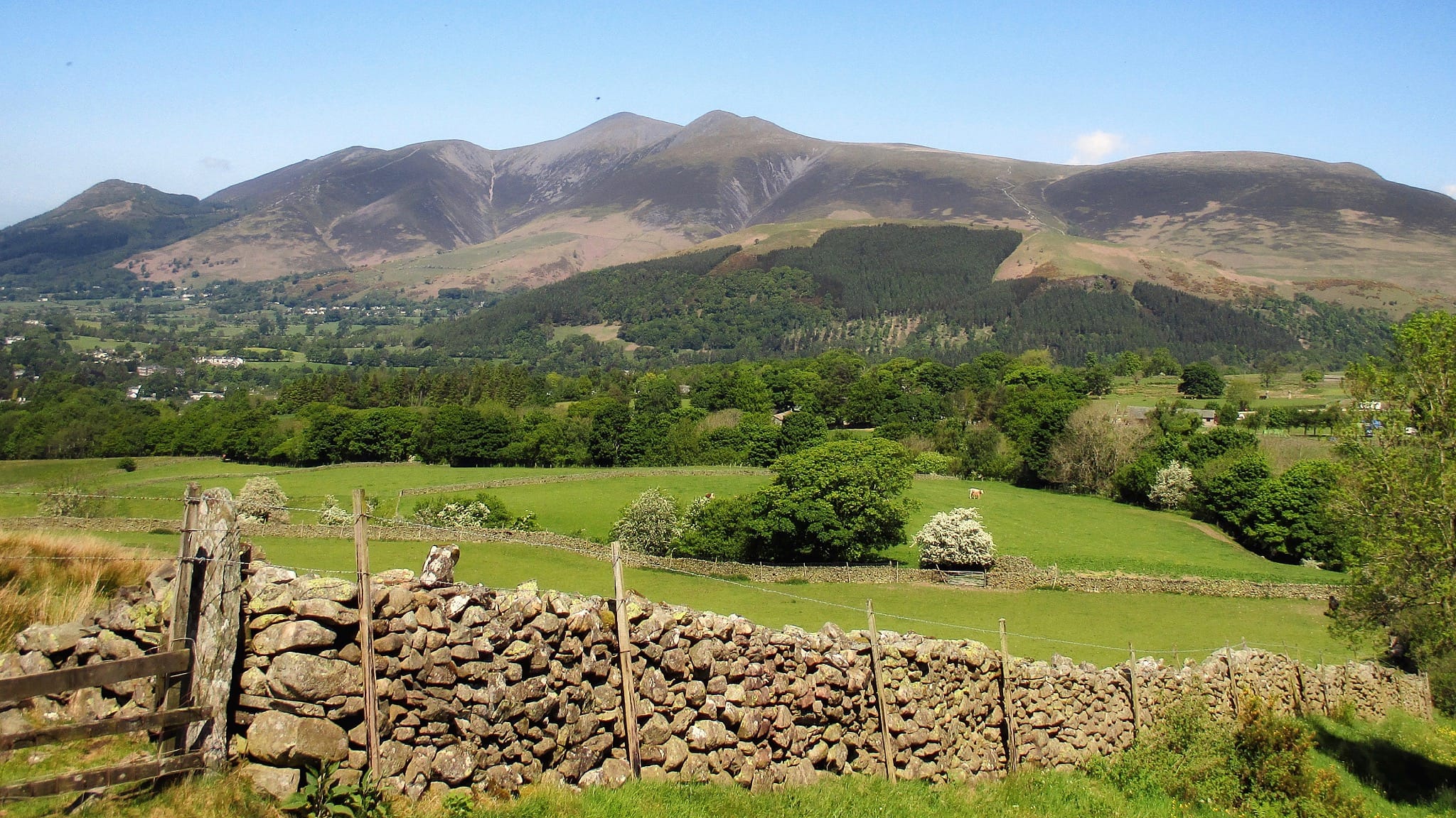 Skiddaw seen from just south of Rakefoot farm, near Keswick. Photo by Antiquary, licensed CC-by-SA-4.0.