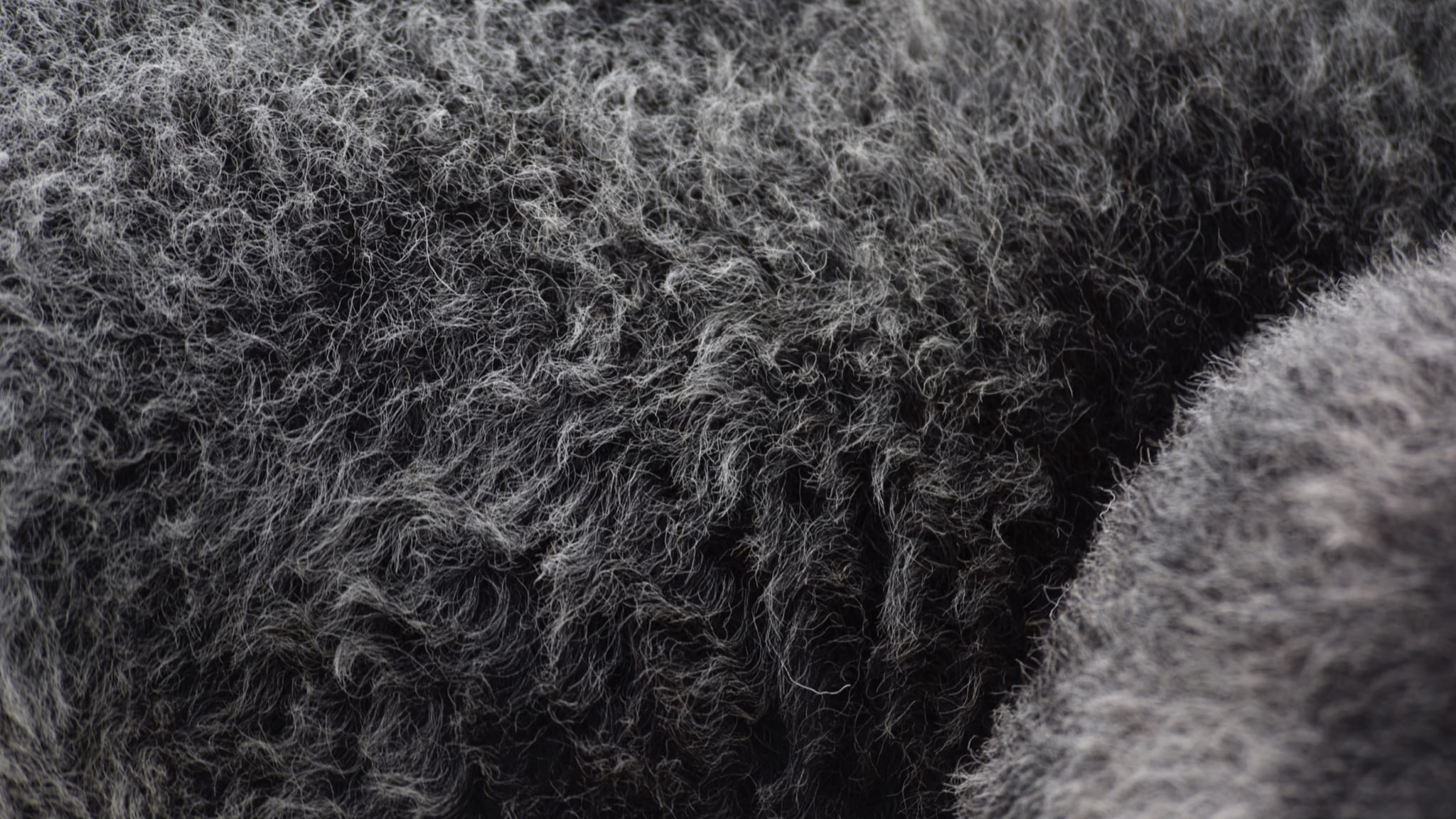 Wool is stain resistant due to the presence of lanolin in the fibres