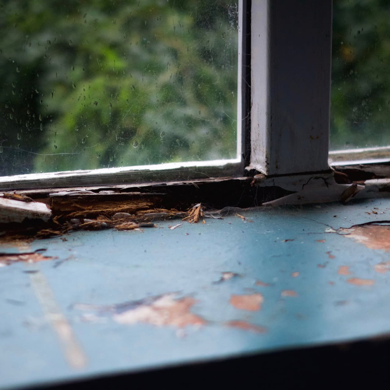 Windows are disintegrating in the Borrowdale Institute