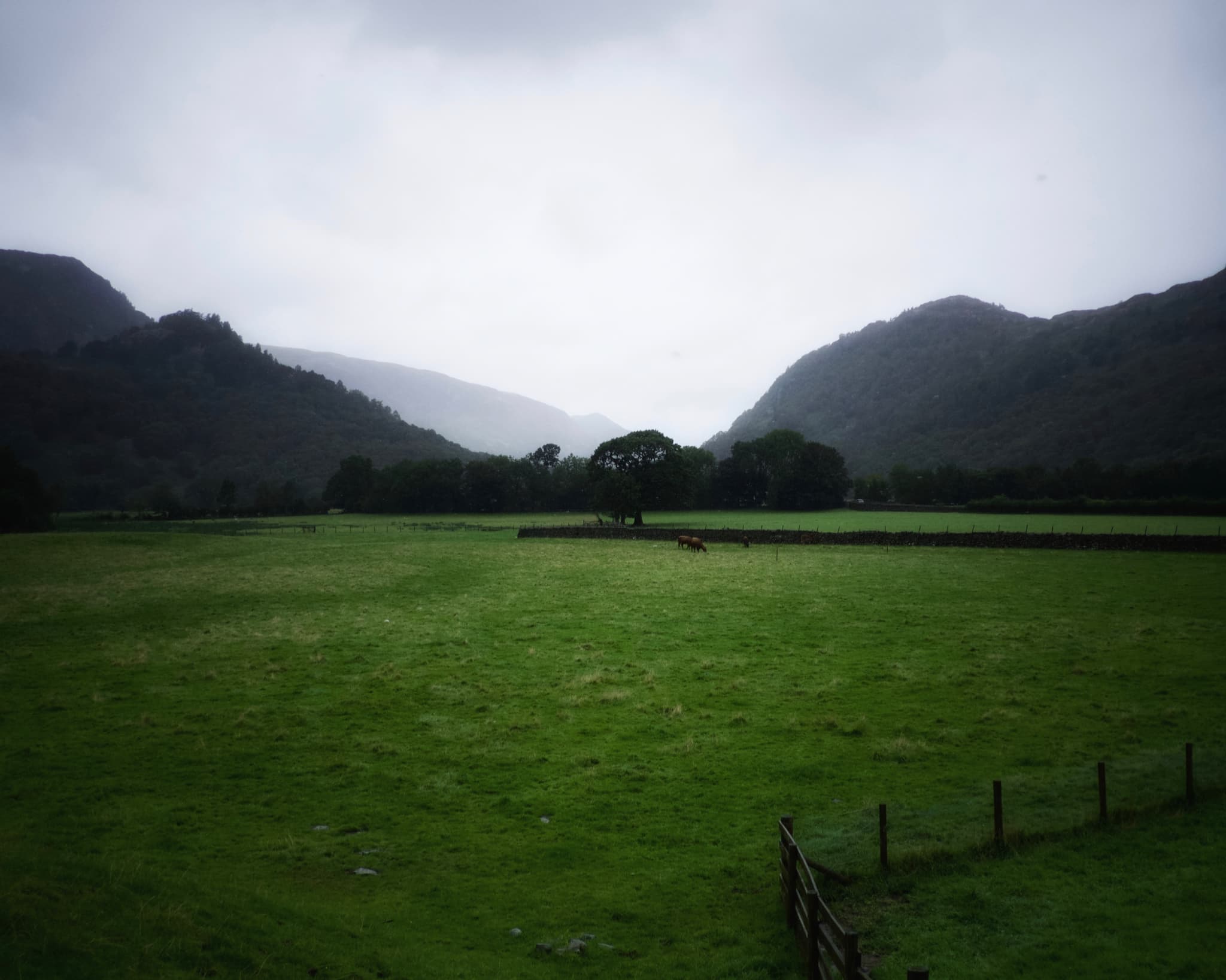 The view from the meeting room down Borrowdale towards Castle Crag