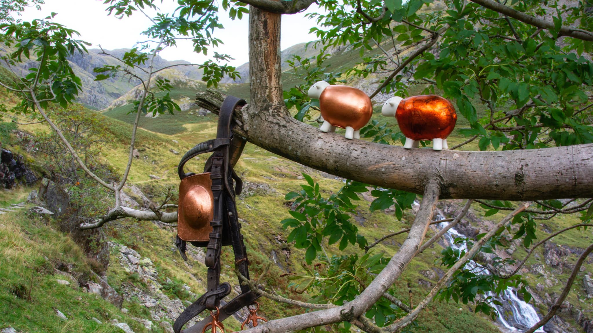 Two copper-gilded Herdy explore the Coppermines trail and landscape above Coniston