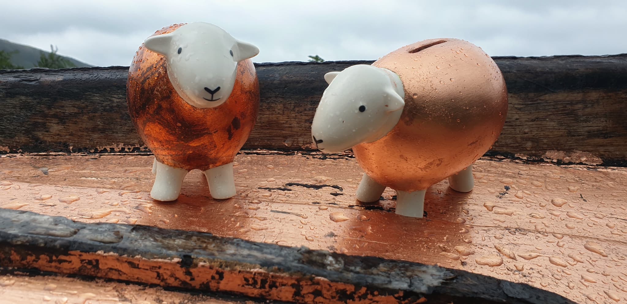 Two Herdybanks, covered in copper