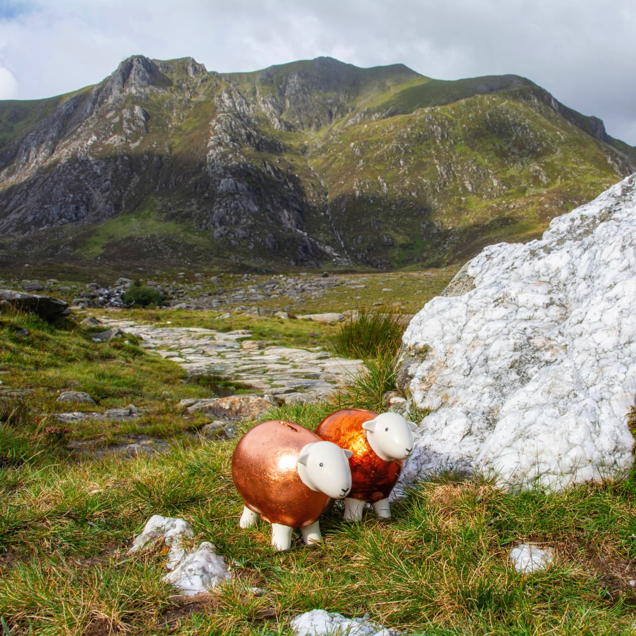 The Copper Herdys exploring some quartz.