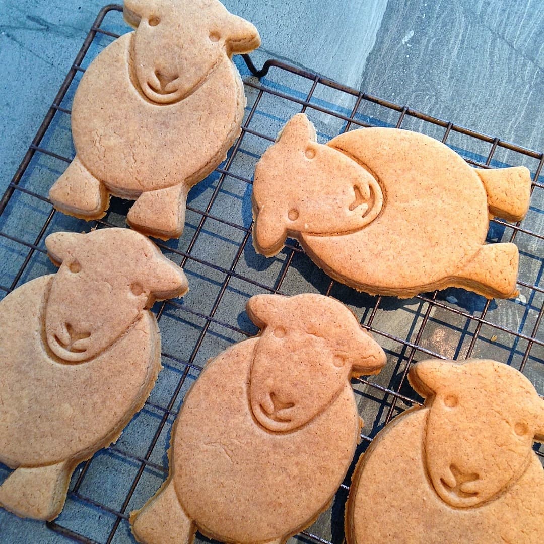 Leave your Herdy Christmas gingerbread to cool