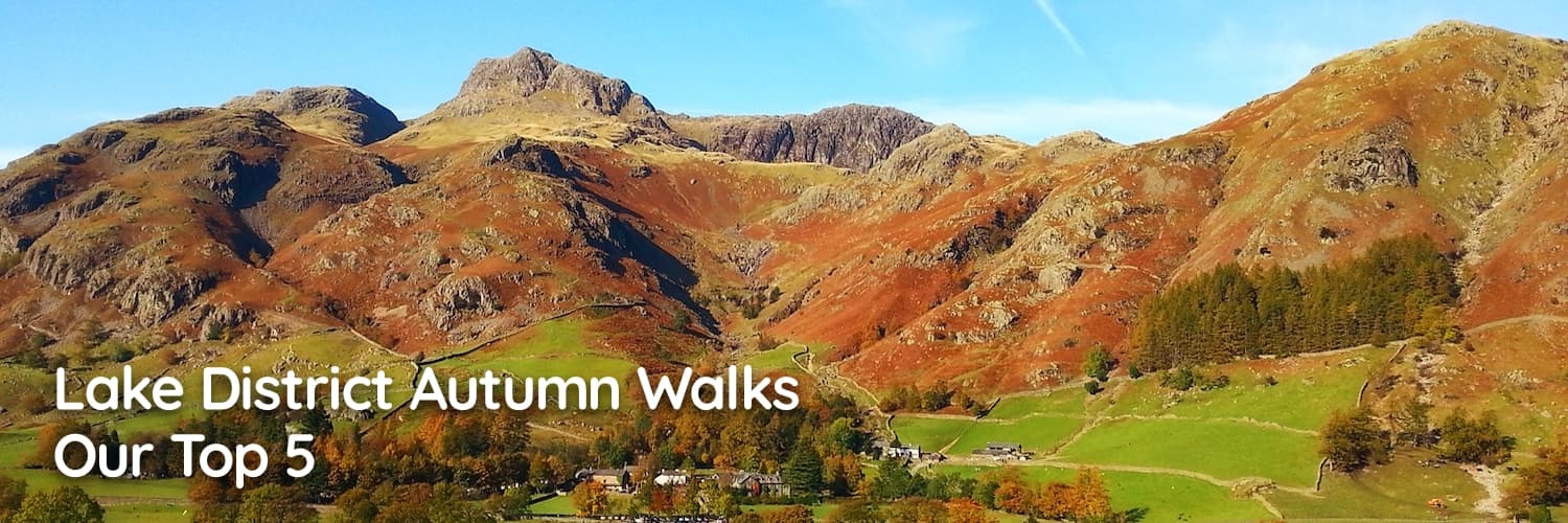 Lake District Autumn Walks: Our Top 5