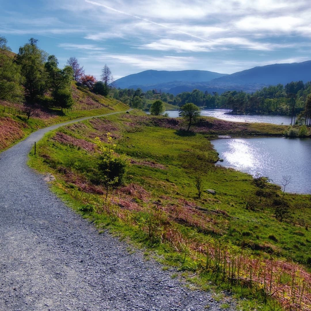 pathway around Tarn Hows, Lake District