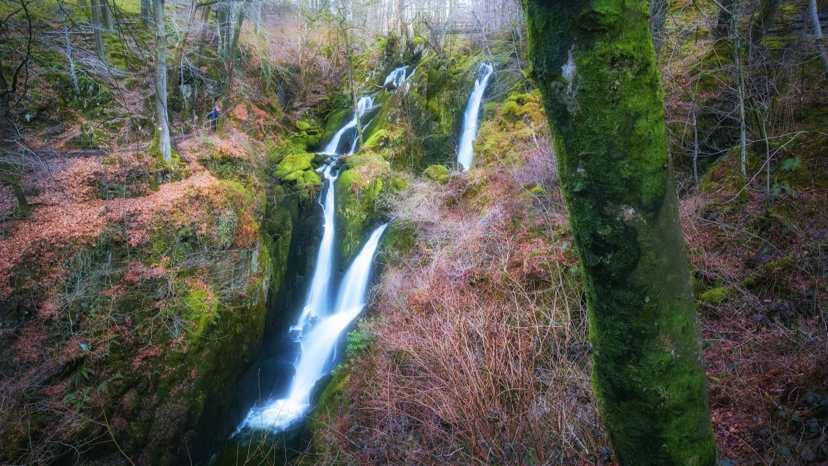 Visiting Stock Ghyll Force