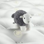Sleep With The World's Cutest Sheep