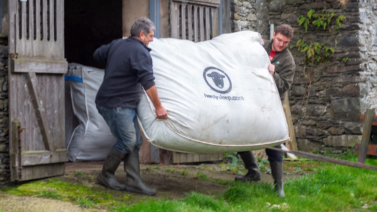 Famers in the Lake District collecting Herdick wool for Herdysleep mattresses