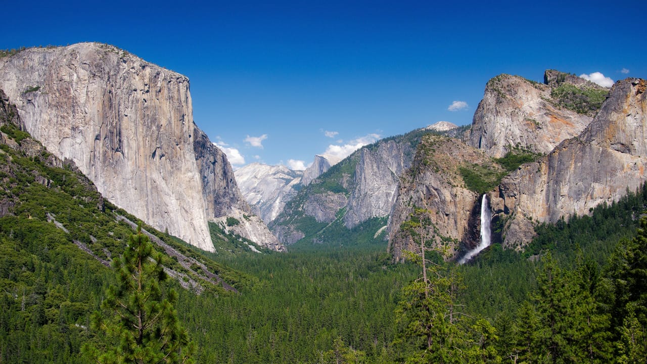 Yosemite valley in the summer with El Capitan, Half Dome and Bridalveil falls in the background. Photo by Johan Viirok, licensed CC-by-SA-3.0