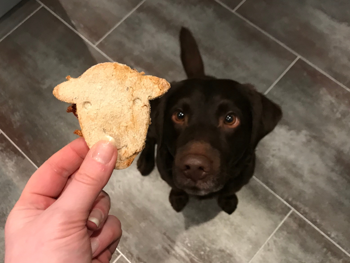 Herdy Dog Biscuits