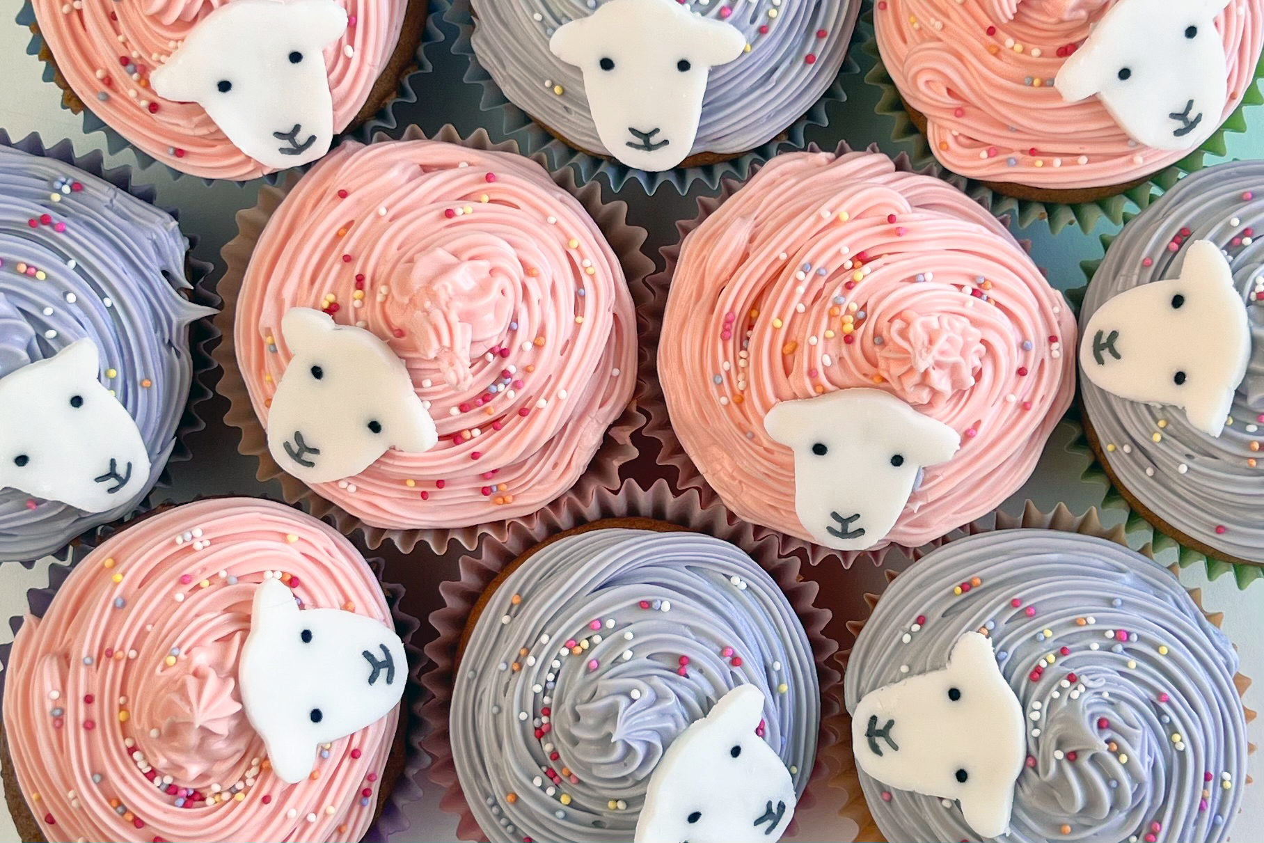 Herdy Chocolate Chip Cupcakes with Blue and Pink frosting and Herdy faces