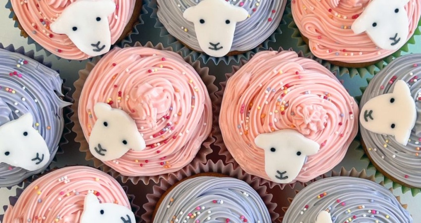 Herdy Chocolate Chip Cupcakes with Blue and Pink frosting and Herdy faces