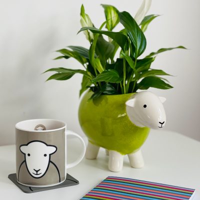Herdy Planter with Peace Lilly and Hello Mug