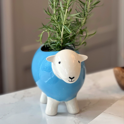 Herdy Planter, Blue