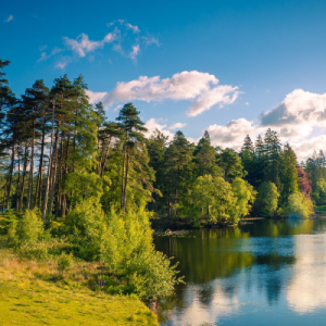 The Perfect Lake District Picnic: Herdy’s top tips for a picturesque day out