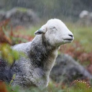 Things to Do When It’s Raining in the Lake District
