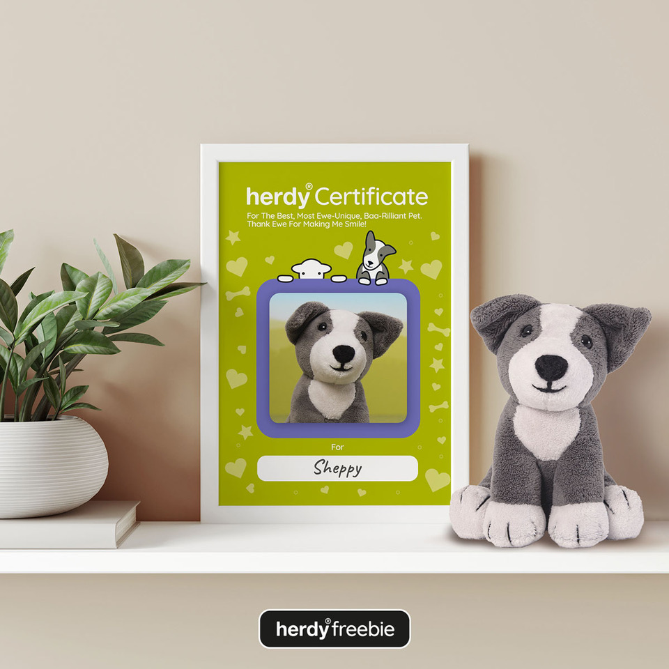 Herdy Best Pet free certificate