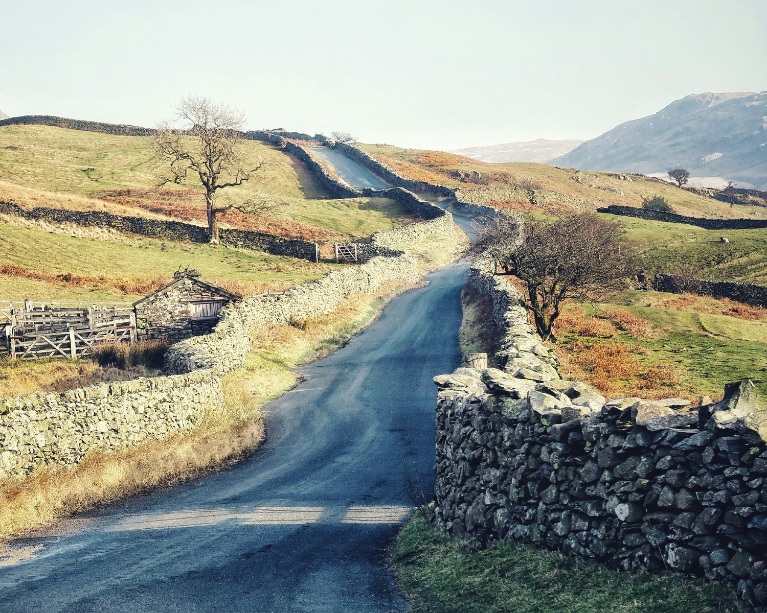 the struggle ambleside