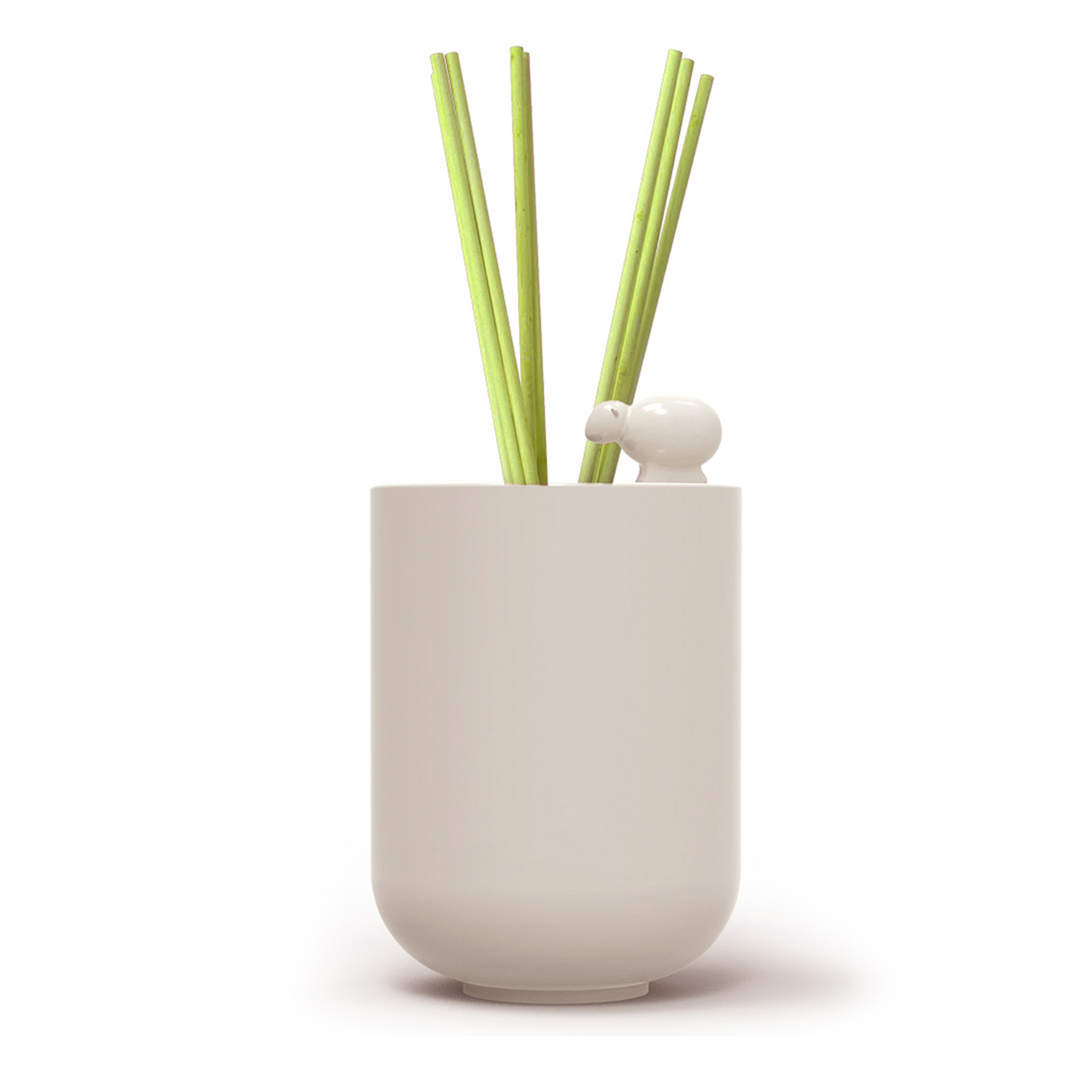 Reed Diffuser with Fragrance