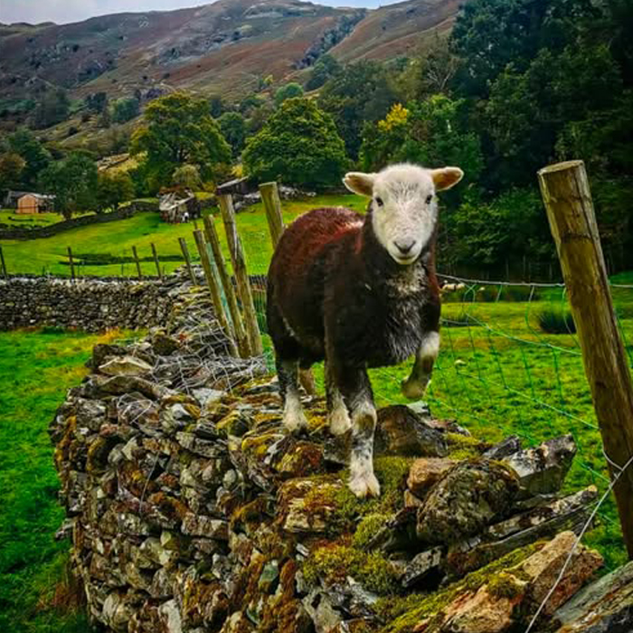 Best-of-blog-2025_0010_Layer 26