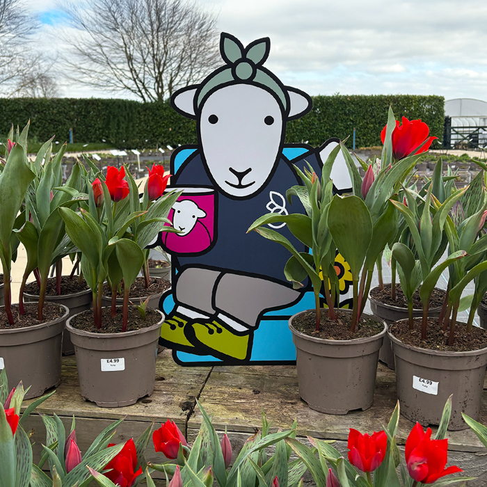 Best-of-blog-2025_0019_Layer 17