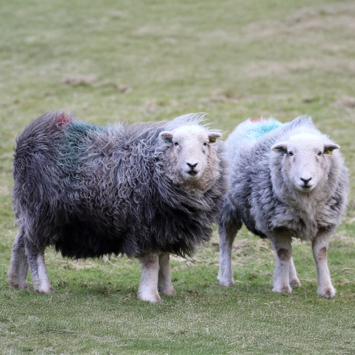 Best-of-blog-2025_0025_Layer 11