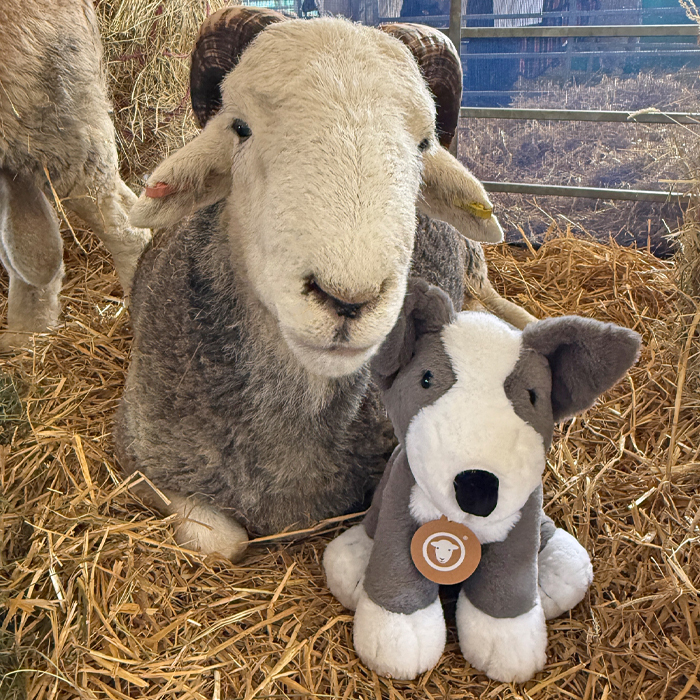 Best-of-blog-2025_0029_Layer 7