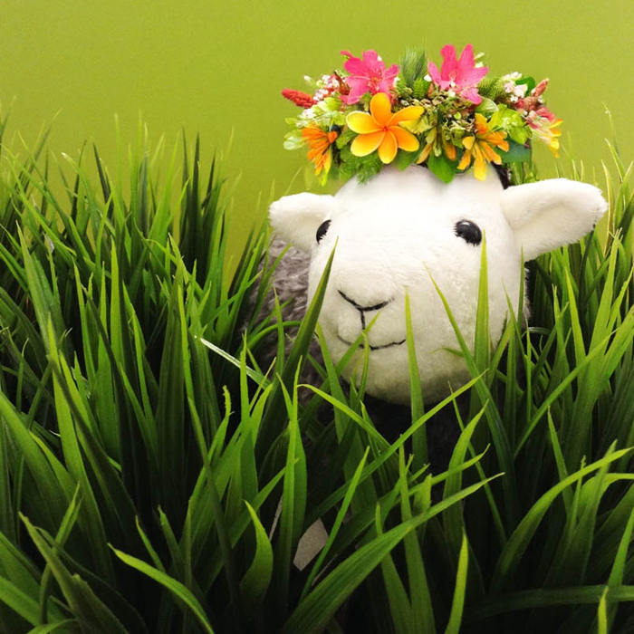 Best-of-blog-2025_0031_Layer 5