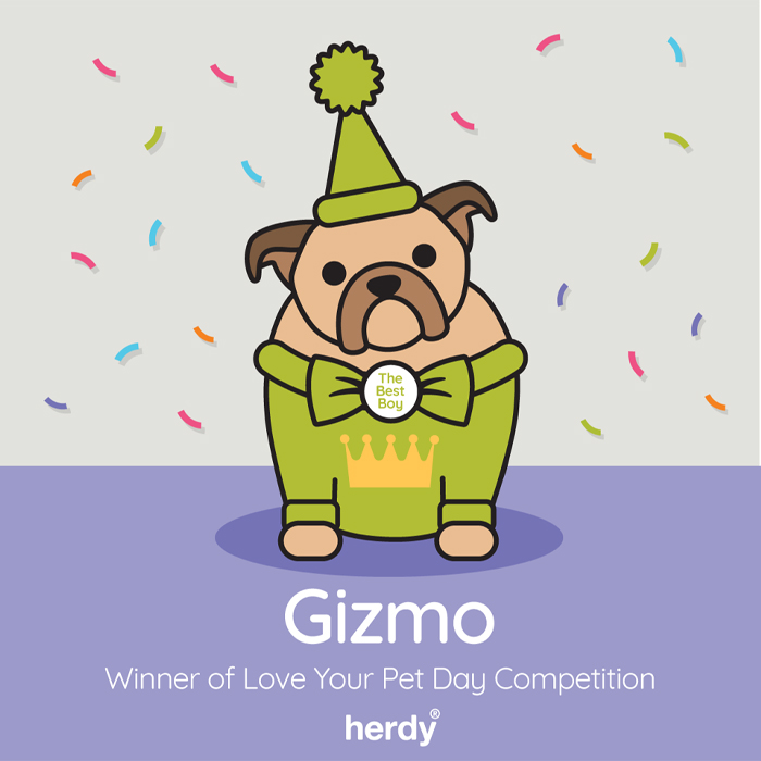 Best-of-blog-2025_0033_Layer 3